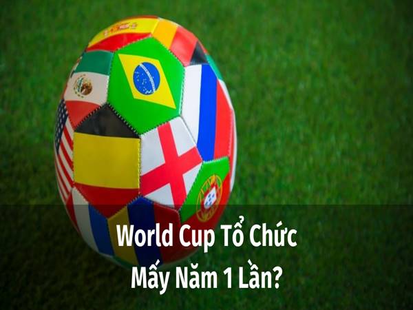 World Cup mấy năm 1 lần? World Cup 2022 được tổ chức ở đâu?