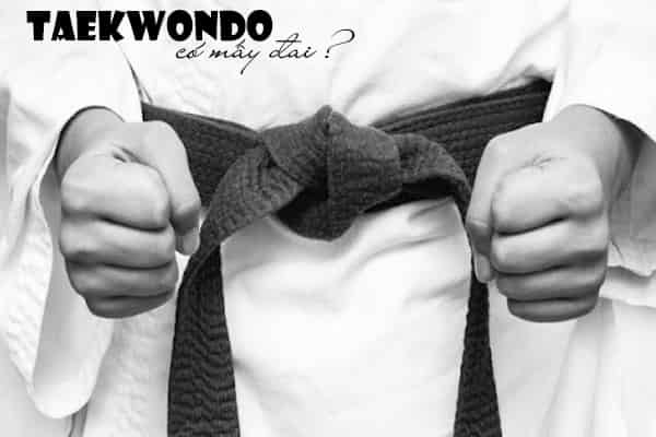 Võ Taekwondo có mấy đai?