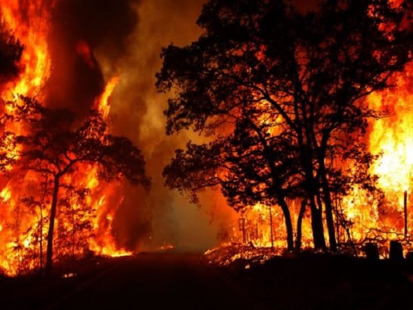 Chiêm bao thấy cháy rừng ban đêm